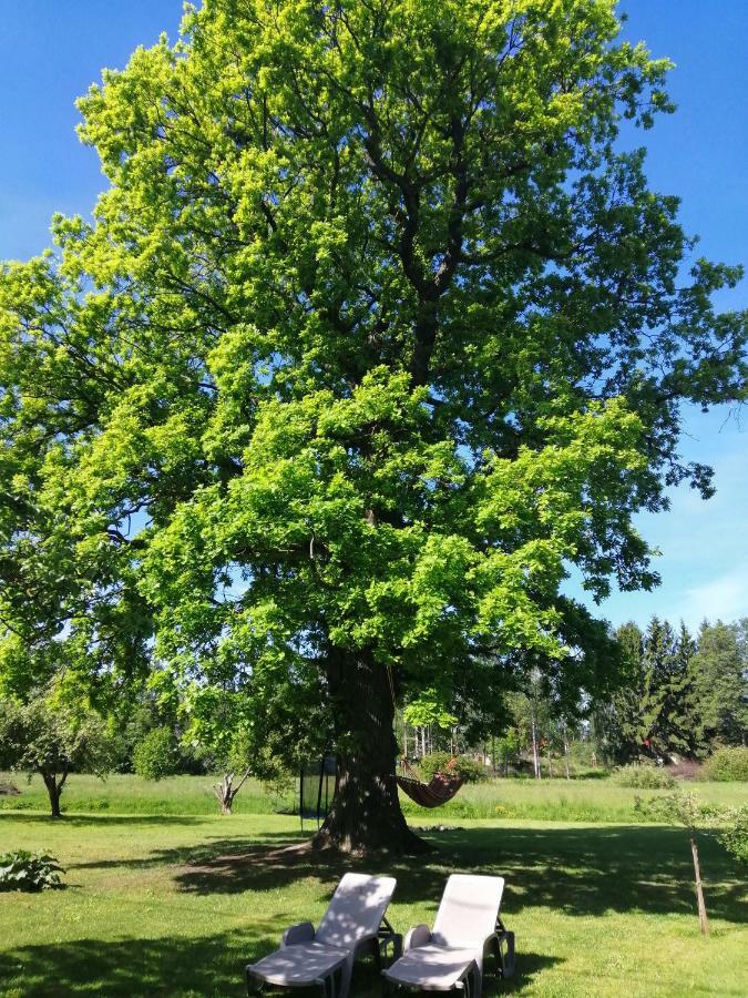 Searooms Lapmežciems Esterno foto